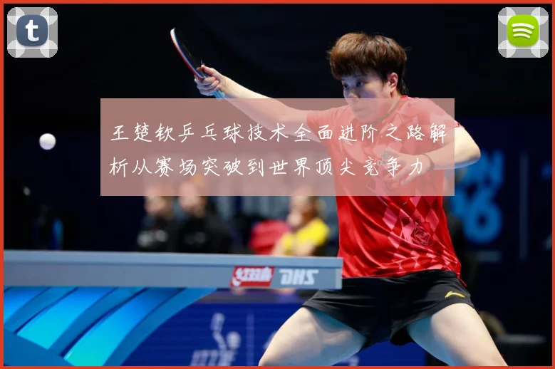王楚钦乒乓球技术全面进阶之路解析从赛场突破到世界顶尖竞争力
