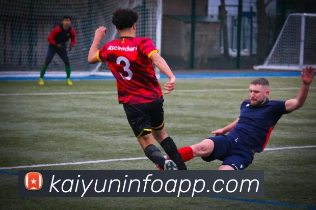 开云平台展示图